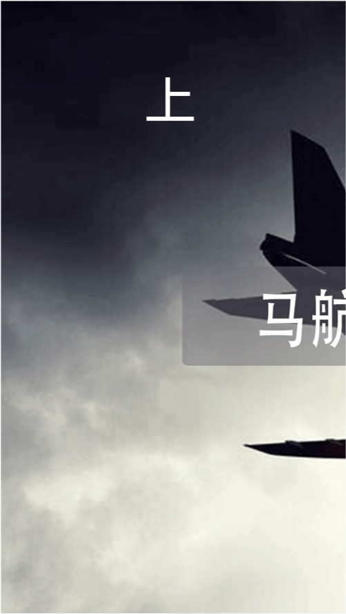 馬航最新動(dòng)態(tài)與進(jìn)展，揭秘失蹤謎團(tuán)，展望未來前景