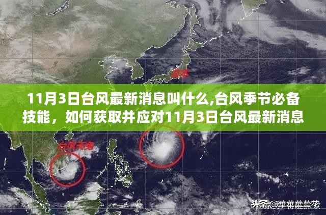風(fēng)臺(tái)最新消息，全面解讀與深度分析