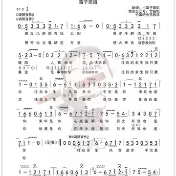 最新抖音熱歌，流行風(fēng)潮與音樂文化的新動(dòng)態(tài)