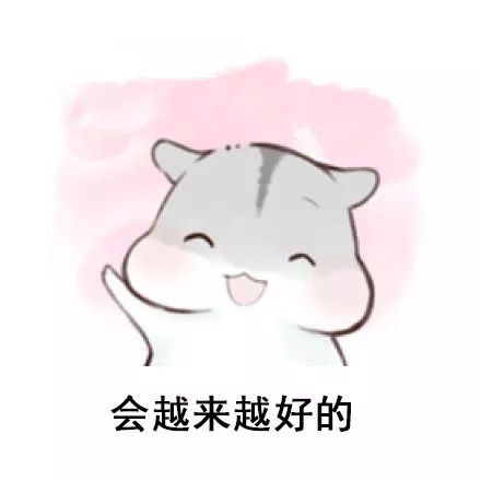 QQ最新表情，探索、體驗(yàn)與樂(lè)趣