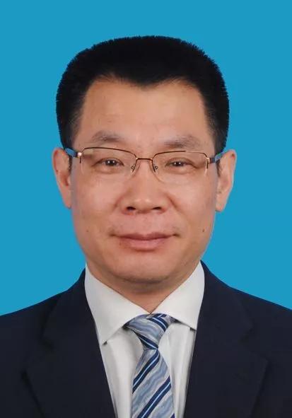 揭秘2024新奧精準正版資料，全方位解讀與應(yīng)用指南