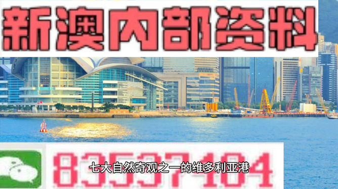 新澳2024正版資料免費公開，探索未來的財富之路