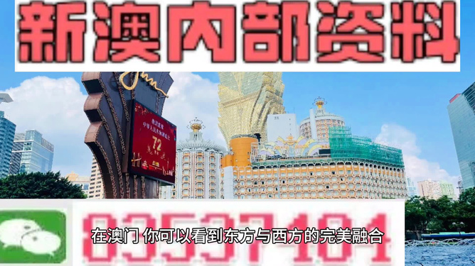新澳2024正版資料免費(fèi)公開，探索與啟示