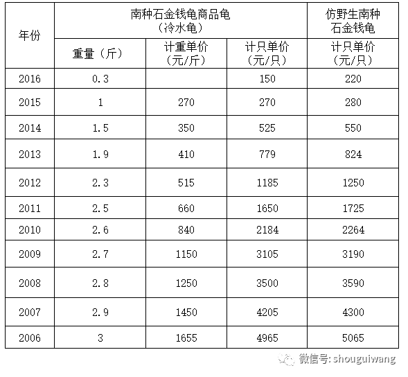 商品石龜最新價(jià)格，市場(chǎng)走勢(shì)與影響因素探討