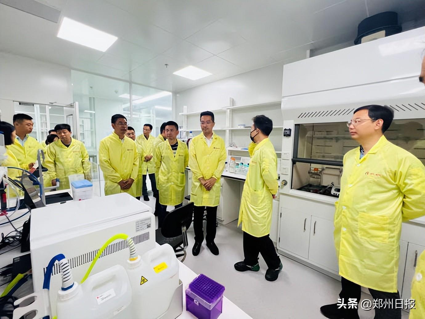 新奧長期免費資料大全，深度探索與綜述
