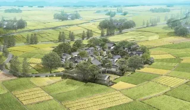 奉賢五四農(nóng)場最新規(guī)劃，重塑田園夢想，開啟農(nóng)業(yè)新時代