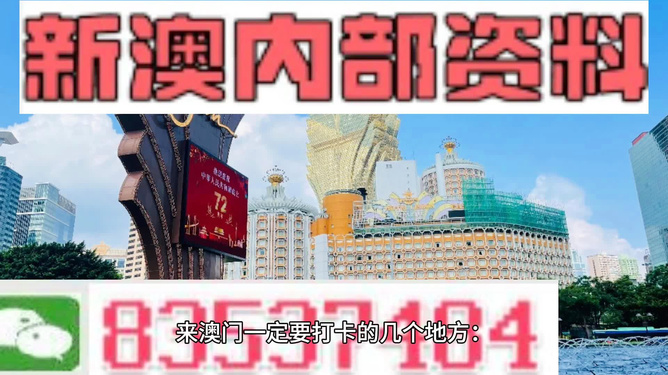 新澳門正版資料免費長期公開，探索與揭秘