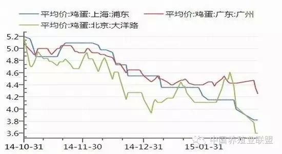 今日雞蛋最新價格，市場走勢、影響因素及未來趨勢分析