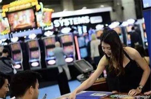 澳門一肖一碼一一特一中，揭示背后的風險與挑戰(zhàn)