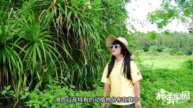 葉子勾搭最新,葉子與最新潮流，一場(chǎng)獨(dú)特的勾搭之旅