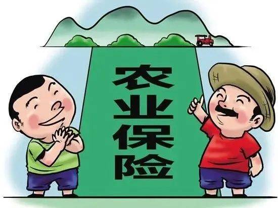 農保最新,農保最新動態(tài)，政策調整與發(fā)展趨勢