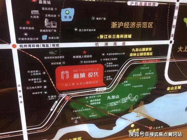 內(nèi)蒙最新鼠疫,內(nèi)蒙最新鼠疫，全面解析與應(yīng)對策略