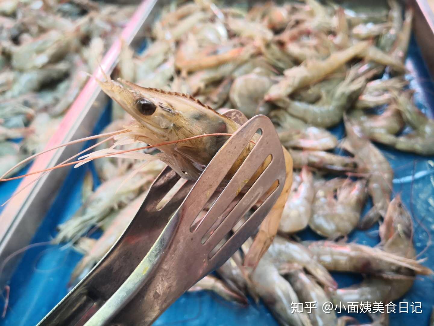疫情最新蝦,疫情最新蝦，從海鮮市場到餐桌的全方位觀察