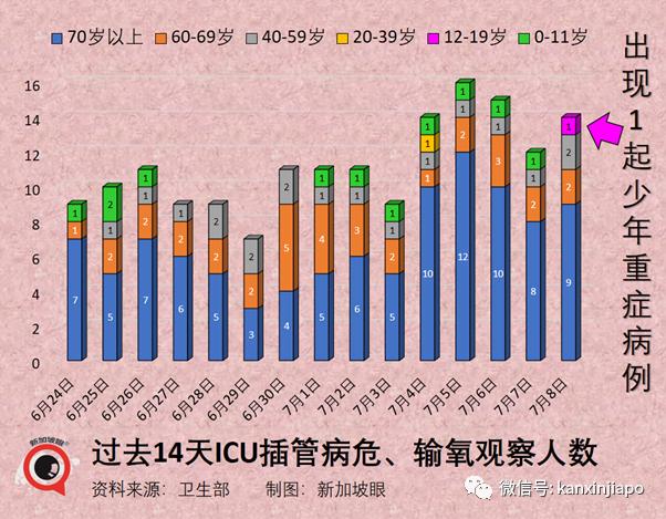新加坡入境最新,新加坡入境最新政策與規(guī)定，全面解讀與實(shí)用指南