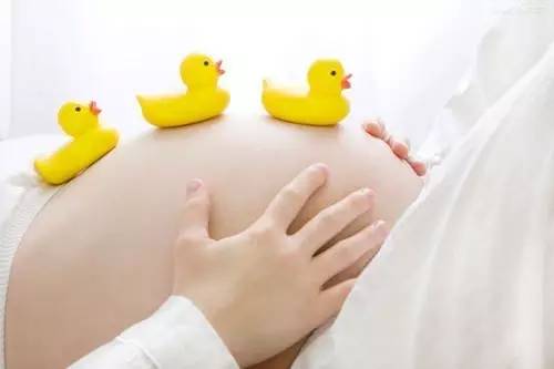最新孕婦版,最新孕婦版，關愛孕期健康，全方位護航母嬰幸福