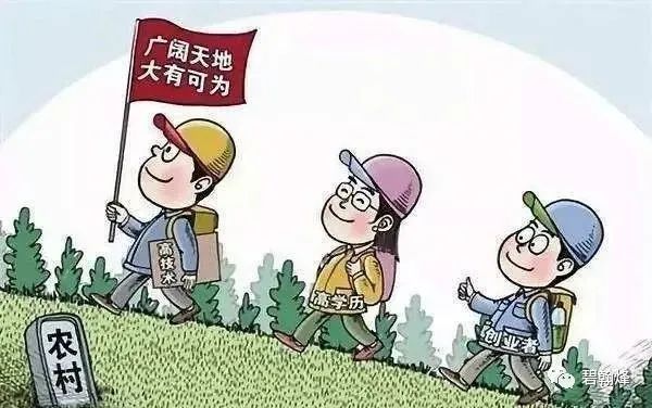最新下網(wǎng)口子,關(guān)于最新下網(wǎng)口子的探討，犯罪行為的危害與應(yīng)對之策