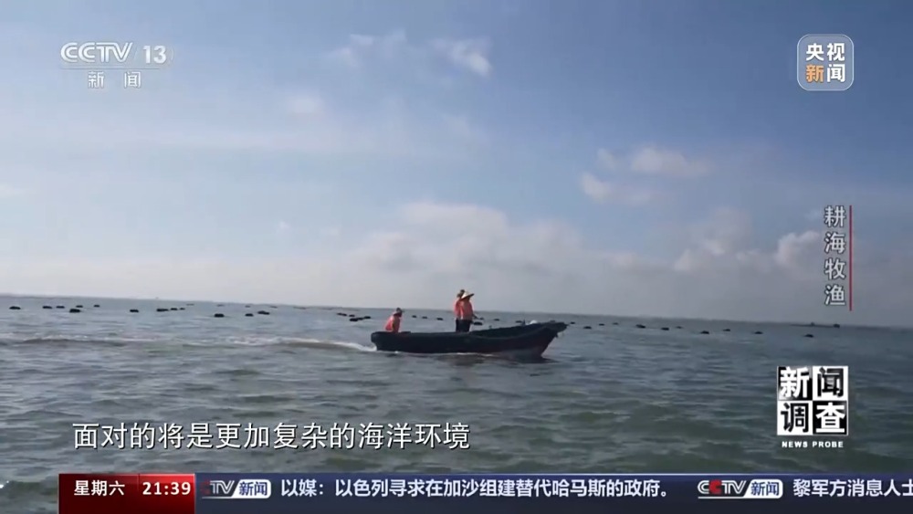 最新海漁網(wǎng),最新海漁網(wǎng)，探索海洋漁業(yè)的新領(lǐng)域與新機(jī)遇