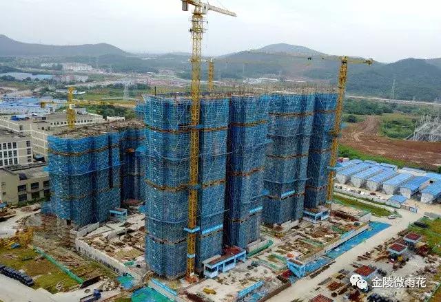 電影軟件最新,電影軟件最新動態(tài)，革新與用戶體驗的雙贏戰(zhàn)略