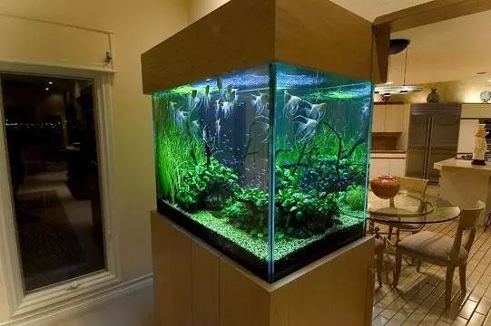 最新魚(yú)缸圖,最新魚(yú)缸設(shè)計(jì)圖，打造完美的水族世界