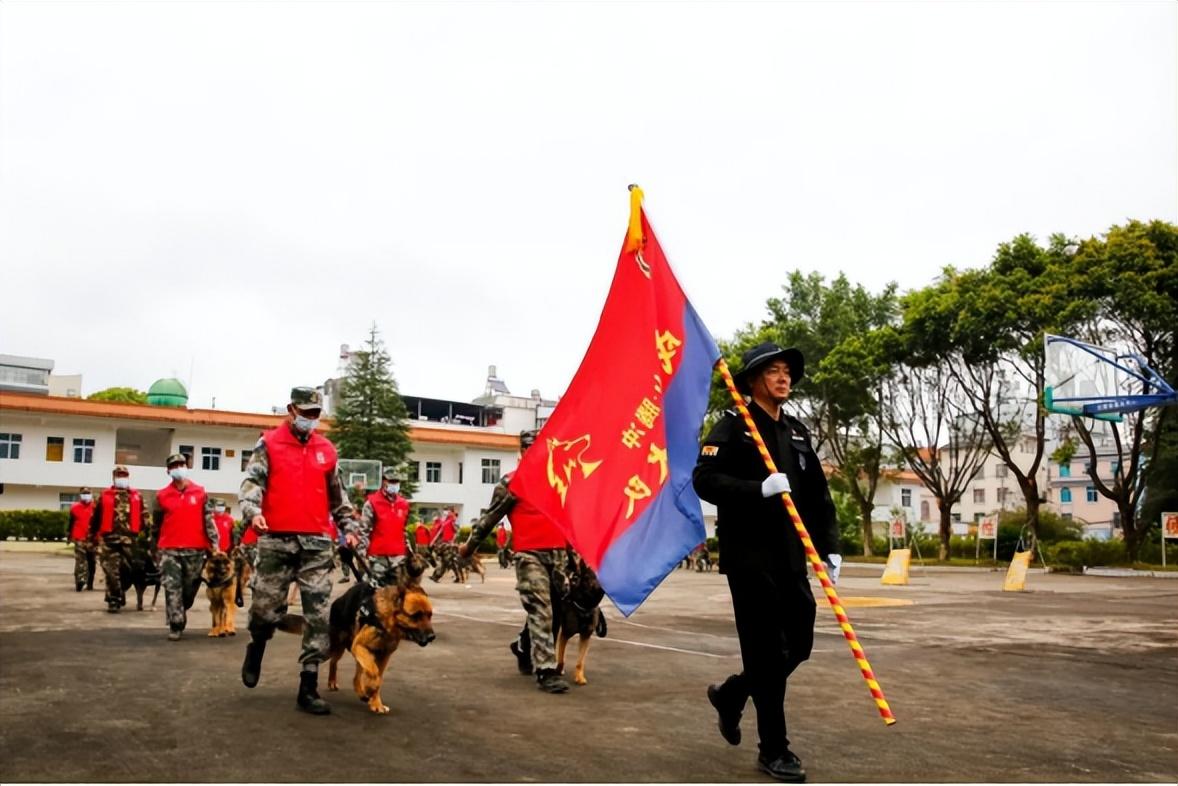 最新的警犬,最新的警犬，科技融合保護(hù)的力量