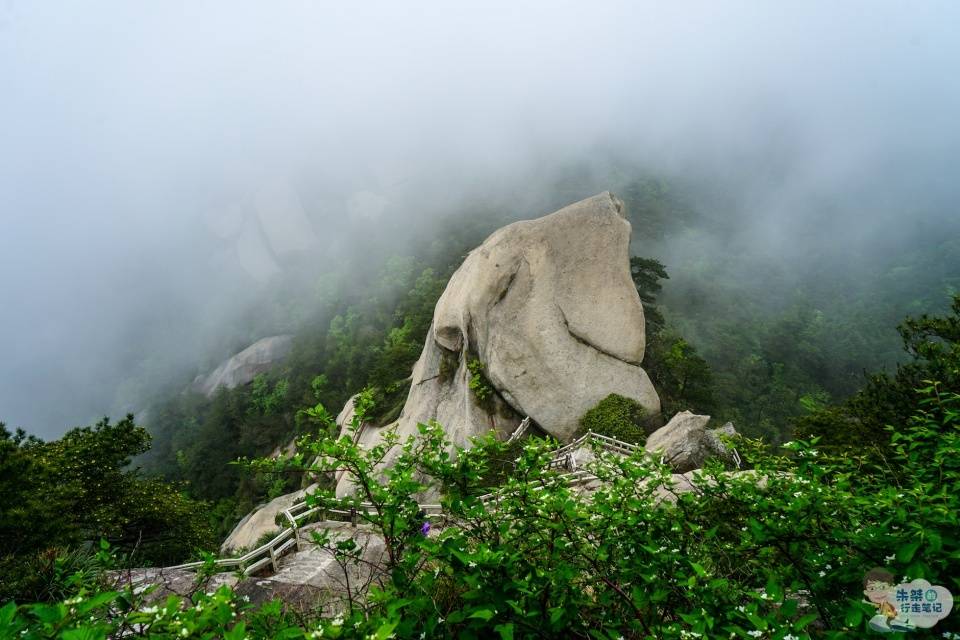 黃山最新動態(tài),黃山最新動態(tài)，揭秘自然奇觀與人文融合的新篇章