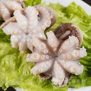 章魚最新價(jià)格,章魚最新價(jià)格，市場走勢(shì)與影響因素探討