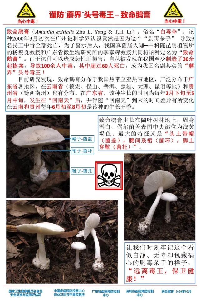 陜西最新感染,陜西最新感染，挑戰(zhàn)與應(yīng)對(duì)策略