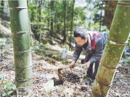 沙縣最新聞,沙縣最新新聞報(bào)道