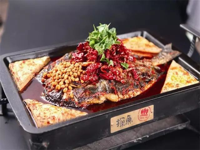 最新烤魚歌,最新烤魚歌，美食與音樂的完美結(jié)合